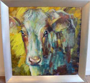 Theo Onnes - Roodbonte koe verkocht voor € 550!