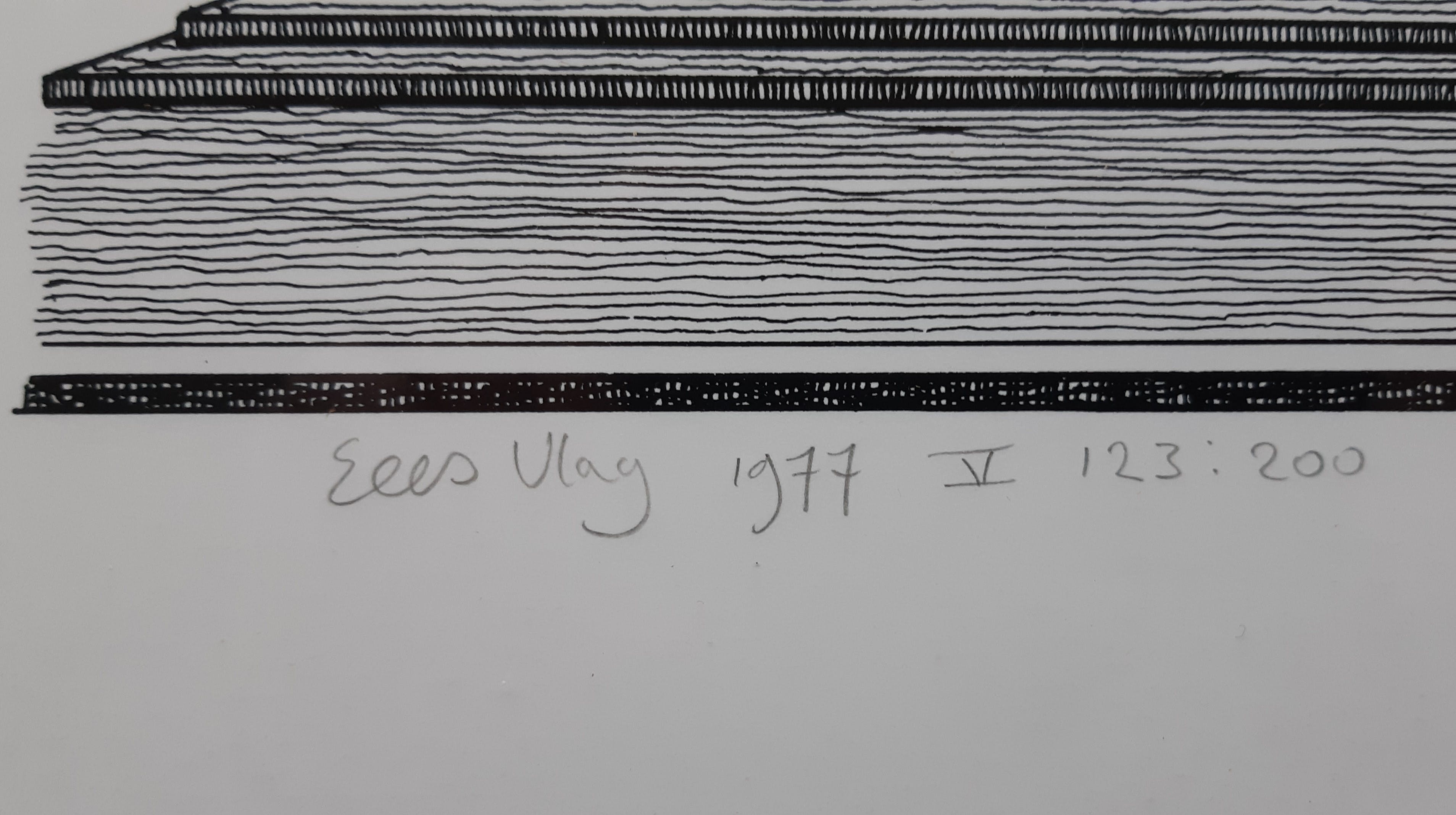 Sees Vlag - 's-Gravenhage - Koninklijke Schouwburg kopen? Bied vanaf 95!