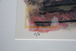 Hans Innemee - Ingelijste zeefdruk: The astonished ones - 1999 (groot) kopen? Bied vanaf 225!