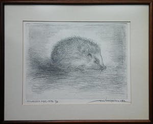 Jan Verhoeven - Volwassen egel - ets 1/15 kopen? Bied vanaf 20!