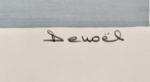 Denoel - Marine kopen? Bied vanaf 15!