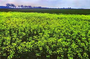 Paul Huf - Foto, Zonder titel - Ingelijst verkocht voor € 1!