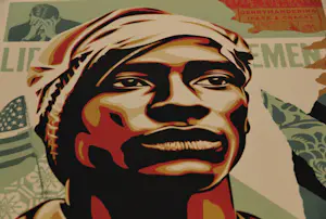 Shepard Fairey - VOTING RIGHTS ARE HUMAN RIGHTS SIGNED OFFSET LITHOGRAPH kaufen? Bieten Sie von 1!