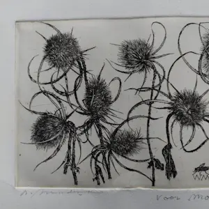 Buy Willem Minderman - Kaardebol met vlinders - Ets - Handgesigneerd? Bid from 20!