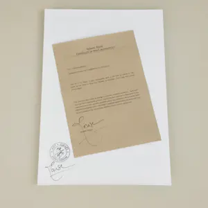 Dominic Rouse - 'Chimera Obscura' (1997) kopen? Bied vanaf 85!