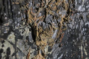 Lex de Bruijn - Gemengde techniek op paneel, Tijdloos geboorte = dood III (Zeer Groot) kopen? Bied vanaf 1!