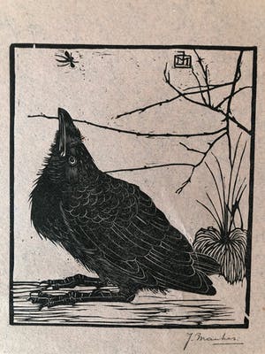 Jan Mankes - Houtsnede kleine kraai kijkend naar mugje - Gesigneerd - 1918 kopen? Bied vanaf 450!