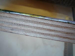 Irene van den Bos - Pioenrozen kopen? Bied vanaf 40!