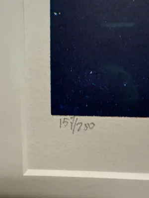 Jan Peter van Opheusden - Winter kopen? Bied vanaf 50!