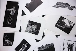 Stijn Peeters - Serie van 73 linosnedes 2003-2005 kopen? Bied vanaf 450!