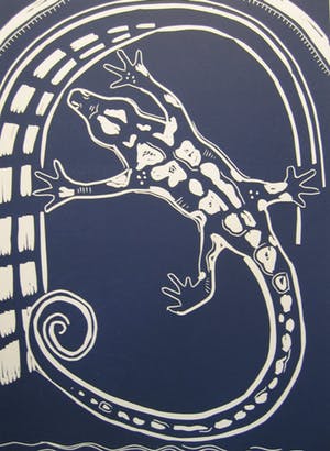 Teuny Tukker - Vuursalamander kopen? Bied vanaf 50!