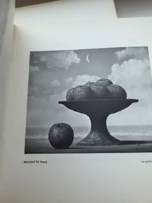 Rene Magritte - 3 boeken kopen? Bied vanaf 28!