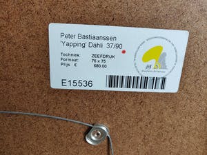 Peter Bastiaanssen - 'Yapping' Dahli kopen? Bied vanaf 80!