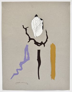 Niet of onleesbaar gesigneerd - Sea Shells kopen? Bied vanaf 1!