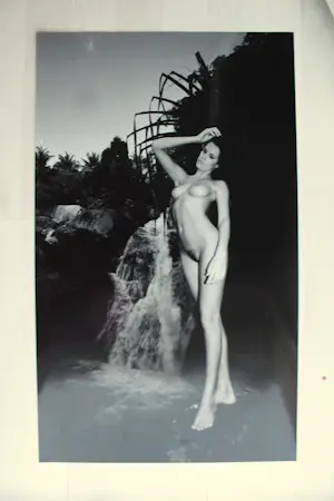 Milan Sara - "AKT am Wasserfall" - Auflage von 10 - handsigniert kopen? Bied vanaf 150!