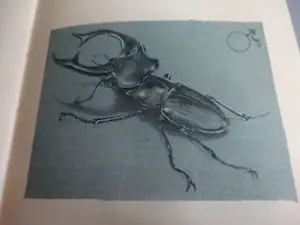 Ton de Laat - Klein Breviarium der ongewervelde dieren- genummerd, gesigneerd+ets kopen? Bied vanaf 75!