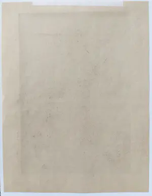 Willem van den Berg - Fiesta Gitana kopen? Bied vanaf 35!