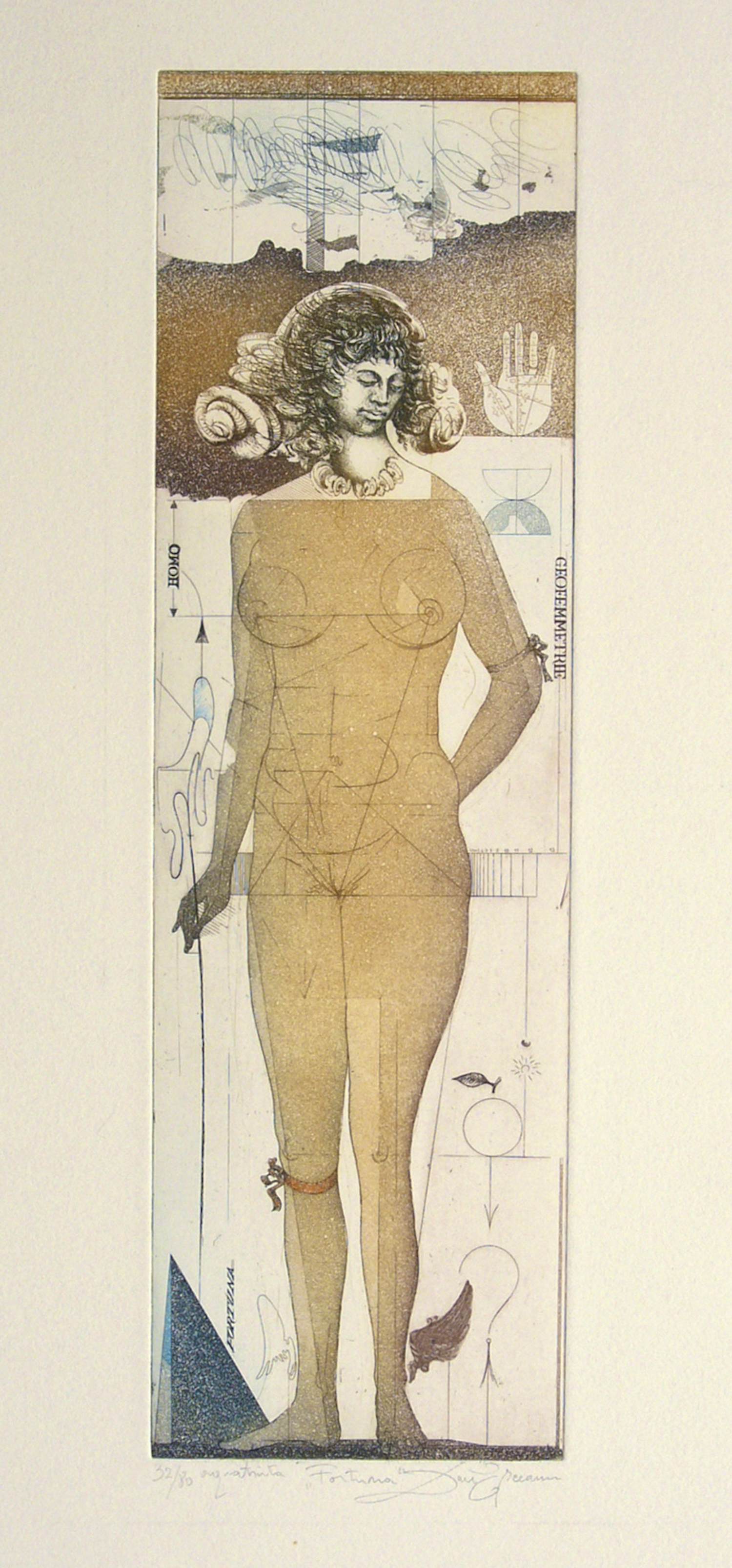 Dan Erceanu - Fortuna kopen? Bied vanaf 39!