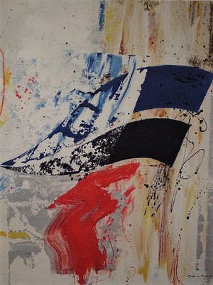 Gert van Reenen - gesigneerd Abstract expressionistisch Litho - oplage 200 - met opdracht kopen? Bied vanaf 10!