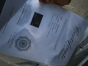 James Chiew - James chief met certificaat kopen? Bied vanaf 699!