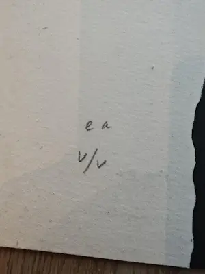 Armando - die Leiter kopen? Bied vanaf 450!