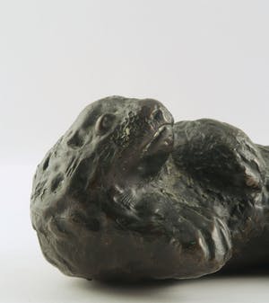 Brons (Onbekend) - Brons, Liggende zeehond kopen? Bied vanaf 10!