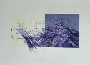 Martin R. Baeyens - XX Century Botany II, litho kopen? Bied vanaf 40!