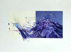 Martin R. Baeyens - XX Century Botany II, litho verkocht voor € 40!