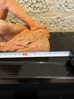 Hans Ittmann - Liggend naakt kopen? Bied vanaf 95!