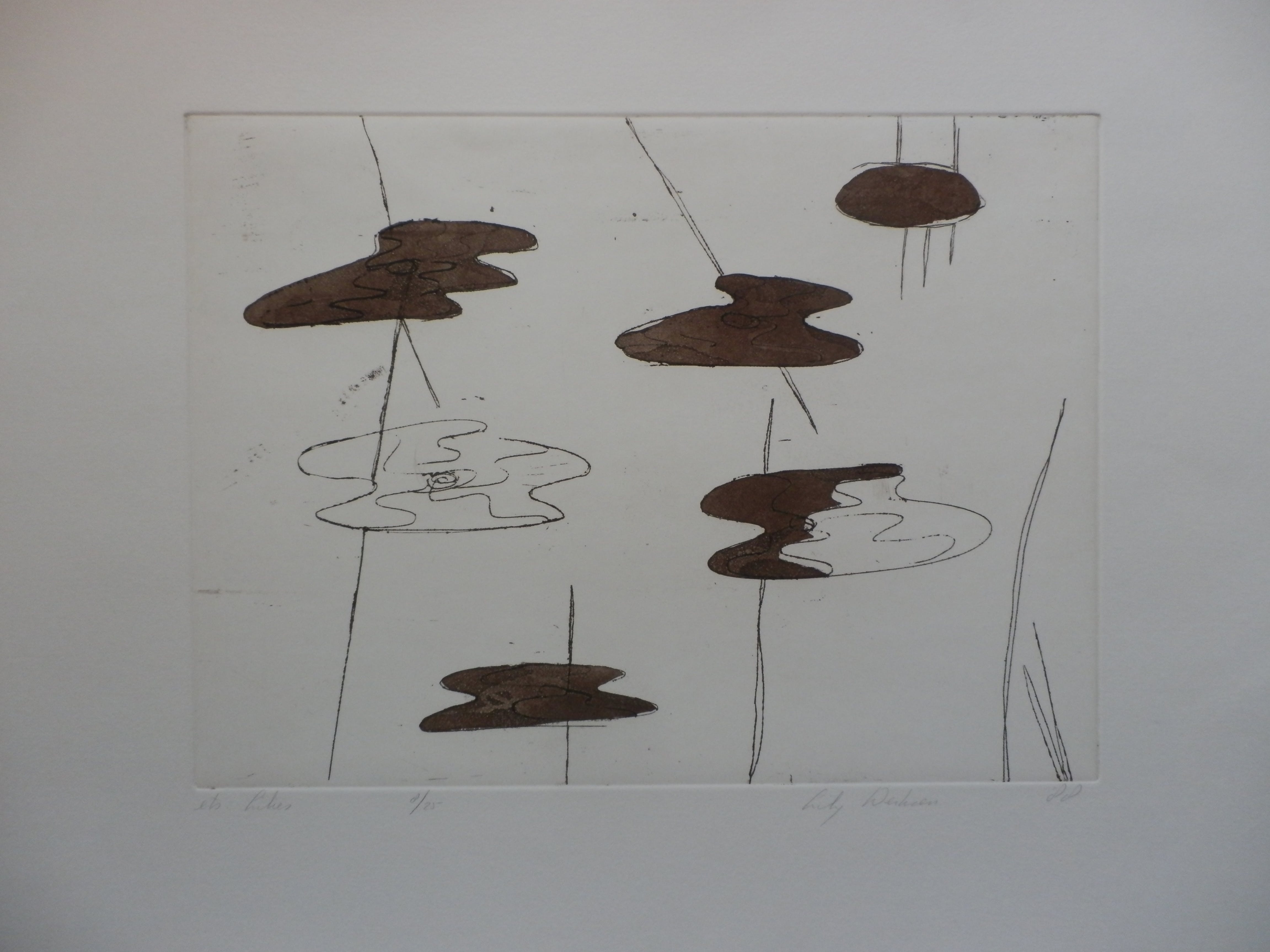 Lily Derksen - ETS: WATERLELIES Handgesigneerd SLECHTS 25EX!!! kopen? Bied vanaf 35!