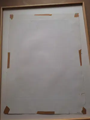 Ed van der Kooy - Tractor kopen? Bied vanaf 40!