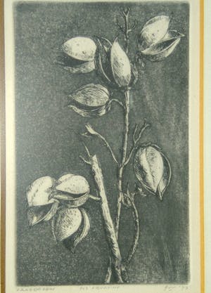 Niet of onleesbaar gesigneerd - Zaadhoezen Ets Aquatint 1977 kopen? Bied vanaf 10!