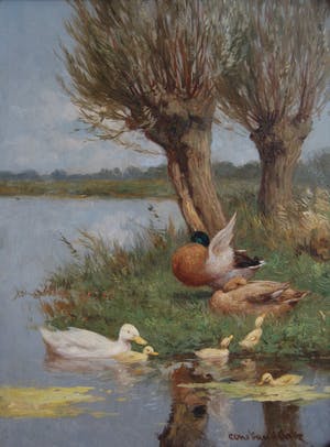 Constant Artz - A9540 - Eenden aan de waterkant kopen? Bied vanaf 1950!