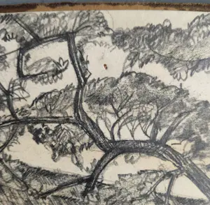 Jan Jans - Boerderij op het Tusveld Almelo - gesigneerde potloodtekening kopen? Bied vanaf 59!