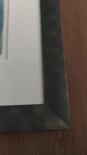 Ru van Rossem - Feestdag in Rajasthan kopen? Bied vanaf 150!