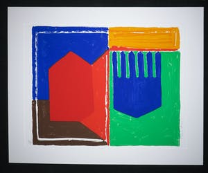 Cees Dolk - Tulpen & Zo 9 kopen? Bied vanaf 1!