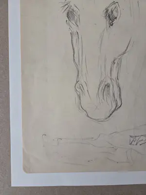 Douwe Jan van der Zweep - Paardenhoofd. Potlood. kopen? Bied vanaf 48!