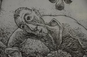 Sjef Hutschemakers - Perenplukker kopen? Bied vanaf 15!