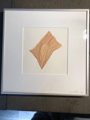 Jan Buster - To catch the sun kopen? Bied vanaf 25!