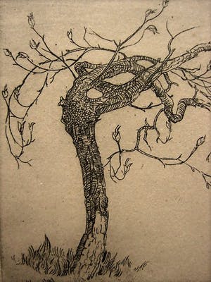 Niet of onleesbaar gesigneerd - Fraaie omstreeks 1920 gesigneerd droge naald Ets "Bloesemboom" kopen? Bied vanaf 1!