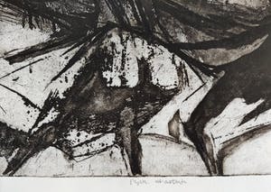 Ru van Rossem - Frenzy of drums kopen? Bied vanaf 50!