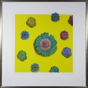 Arjan van Arendonk - Zeefdruk, Floating flowers II - Ingelijst kopen? Bied vanaf 35!