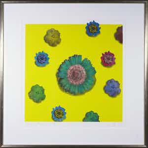 Arjan van Arendonk - Zeefdruk, Floating flowers II - Ingelijst verkocht voor € 35!