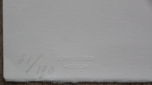Gerard Leonard van den Eerenbeemt - litho: abstract kopen? Bied vanaf 40!