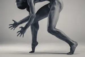 Vadim Stein - 'Octopean' (2013) kopen? Bied vanaf 110!