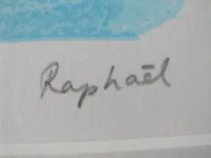 Raphael Hermans - vogel kopen? Bied vanaf 30!