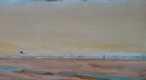 Franklin Meijer - Texel - Strand kopen? Bied vanaf 95!