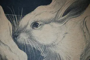 Jan Schonk - steendruk konijnen - ingelijst kopen? Bied vanaf 75!