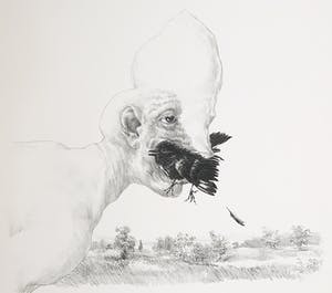 Peter Vos - Litho, Zonder titel kopen? Bied vanaf 70!