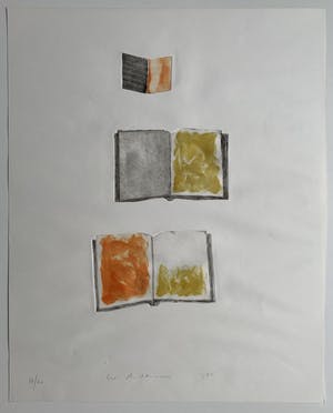 Leon Adriaans - Handgekleurde ets | 'Boeken' | 1985 (Uniek werk) kopen? Bied vanaf 250!